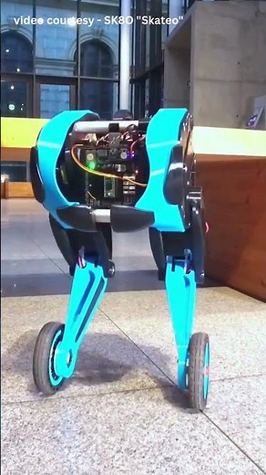 This Robot Defies the Laws of Physics