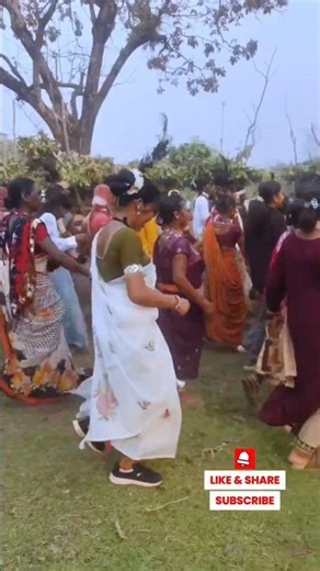 Adiwasi #dance #Bastar #culture #gondivideo