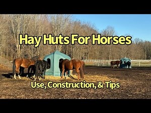 Comprehensive Guide Using Hay Huts for Horses: Use, Benefits, Construction, and Tips