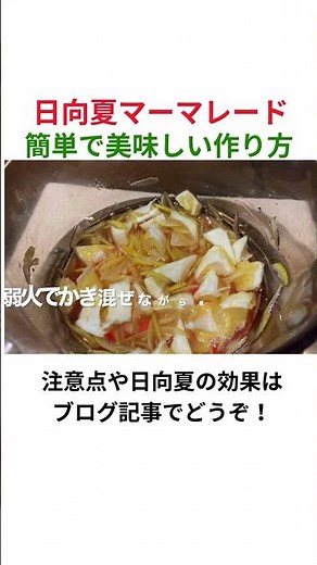 日向夏マーマレード（ニューサマーオレンジマーマレード）の簡単で美味しい作り方レシピ #Shorts #簡単レシピ