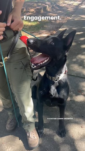 1.4K views · 39 reactions | Engagement is one of the most...