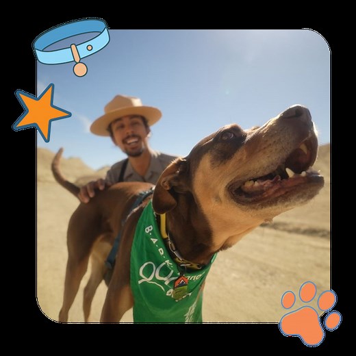 Pets - Death Valley National Park (U.S. National Park Service)