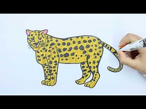How to draw a Leopard