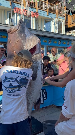 American Spirit Party Boat on Instagram: "This epic Warsaw caught aboard the Charter Boat Special K lives rent free in my mind!!! #fishing #grouper #florida #fishingtournament #bassproshops @charterboat_special_k"