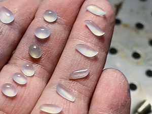 聚灵阁出品！精挑翡翠小戒面