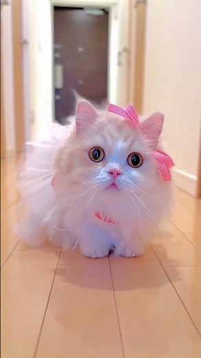 mene tera name Nasha rakha 🫀😍#shortvidoes #youtubeshorts