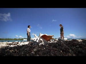 Strictly off limits: how Guadeloupe is protecting its tropical paradise?