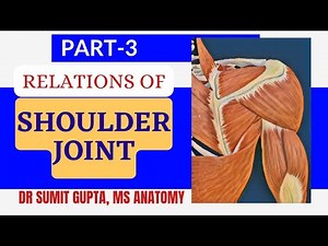 SHOULDER JOINT : Relations