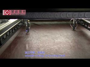 independent dual head laser cutting machine for leather