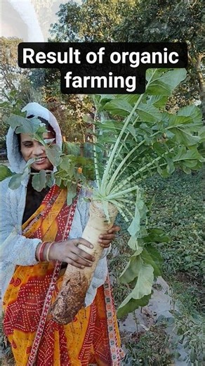 power of organic farming #shorts #nature #natural