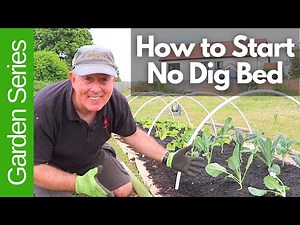How to Start a No Dig Bed