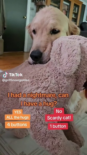 Hugs for Dogs: Celebrating National Dog Day 2024