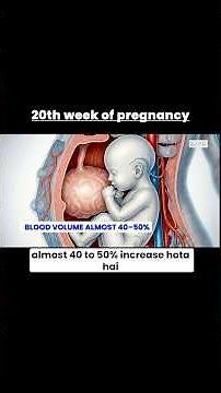 Half Pregnancy Complete! 20 Weeks Baby Development Explained