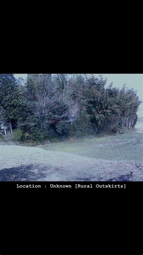 File_057 : The Remote Field ⛩️🌧️ [Japan Liminal] #liminalspace #japan #shorts