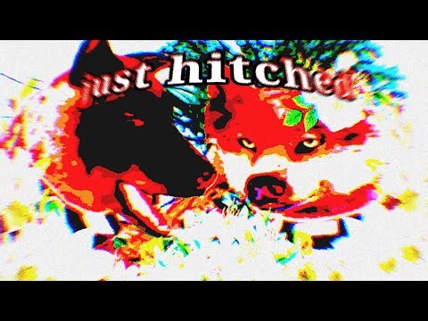 playing wolfquest multiplayer with my girlfriend hnowu