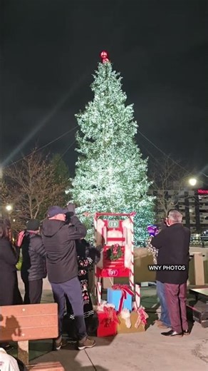 Seneca Niagara Resort and Casino Tree Lighting Ceremony 2025 #holidays #treelighting #holidayseason