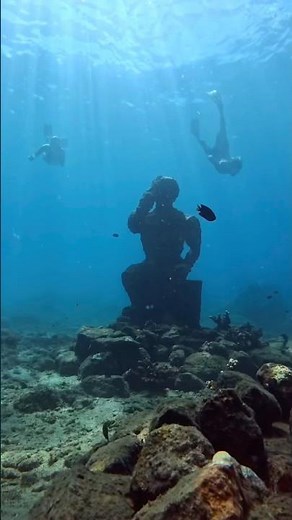 snorkeling in Sri Lanka! 🏝️