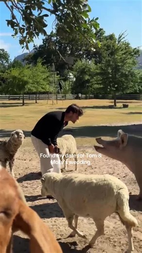 Tom and Molly's Romantic Wedding in Sicily