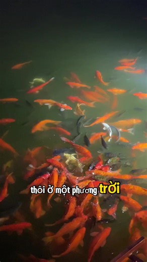 Daily vlog 1 ngày của vk ck trẻ | phần 6 #dailyvlog #fyb #tiktok #xuhuong #vkcktre