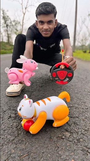 New One Rc Rabbit And 1 Remote Control Cat Unboxing