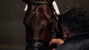 Pappacap looks to regain his No.1 spot on the Road to #KyDerby Leaderboard with a win in Saturday's Risen Star. | Kentucky Derby