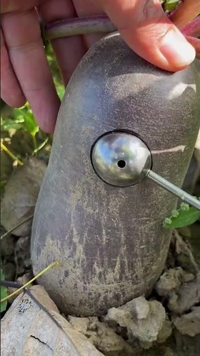 the stage of taking a sample using a special tool such as a spoon#tools