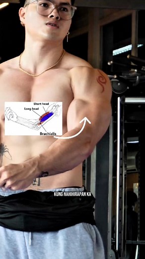 Biceps workout simplified 💪🏼🔥 Hope it helps 🫶🏻 #workouttips #bicepsworkout #GGains | G.Gains