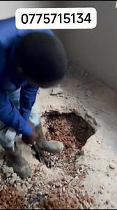 4.9K views · 22 reactions | Zimre park vakomana veku Tinash Fumigators Pest Control Harare vapedza ma sports thank u for trusting team yechidiki 077 571 5134 | Tinash Fumigators Pest Control Harare | Facebook