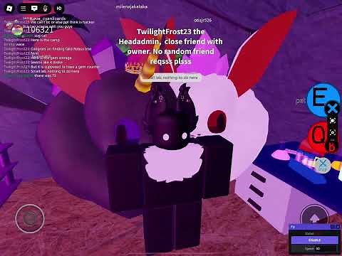 Basic introduction to Creampuff Fox Study Roleplay