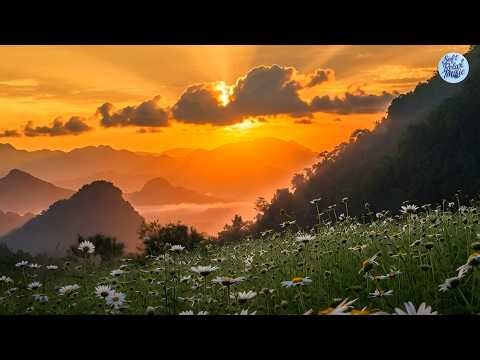 Peaceful Music Morning Freshness with Soft Piano #freshmornings