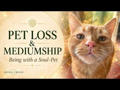 Being with a Soul-Pet: What a Medium Knows About Pets After Death