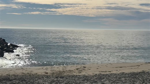 Happy Thanksgiving | Surfers Healing San Diego