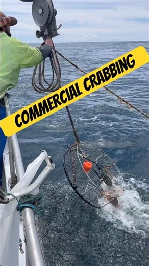 Crabbing on a Charter Boat #fishing #crab