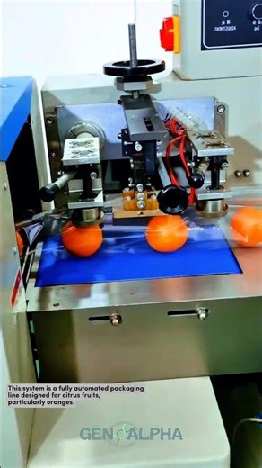 Citrus Fruit Packaging Line #manufacturing