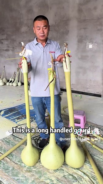 You must have never seen these types of gourds!#science #popular #usa #gourd