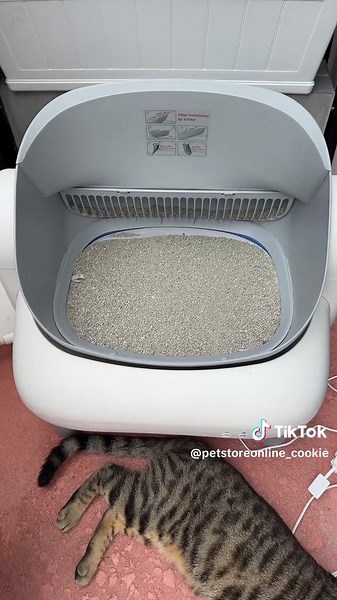 Cookie🍪 (@petstoreonline_cookie)’s videos with sonido original - Cookie🍪