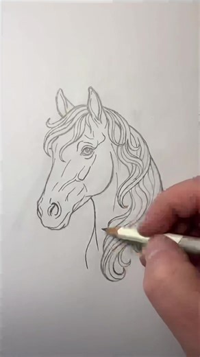 How to Draw a Realistic Horse Pencil Sketch