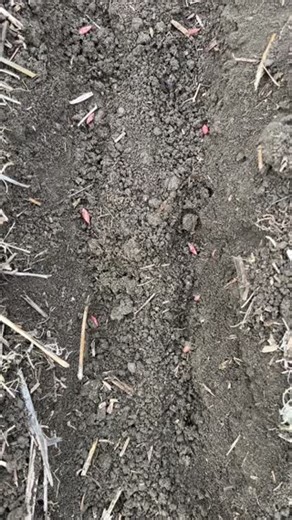 Paired row seed placement with the SeedMaster UltraSR. #Cereals #Plant23 | SeedMaster