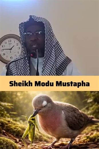 Sheikh Modu Mustapha's Inspiring Message from Maiduguri