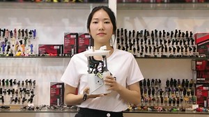 Fuel Pump Assy Car Auto Fuel Pump Assembly for Toyota Hyundai Nissan Audi Lexus Honda Mazda Mitsubishi Kia