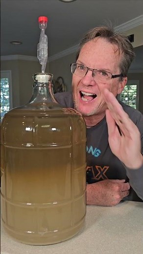 Pear Wine Update - How to Make Fruit Wine #fruitwine #wine #pear #howtomake