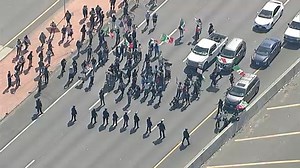 Anti-ICE protesters briefly shut down LA freeway