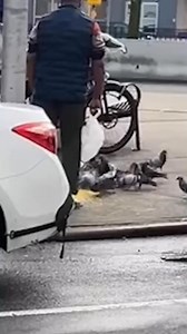 A food cart worker in New York City is seen catching a pigeon and… welp… #NYC #streetfood #streetcart #food | The Robbie Harvey