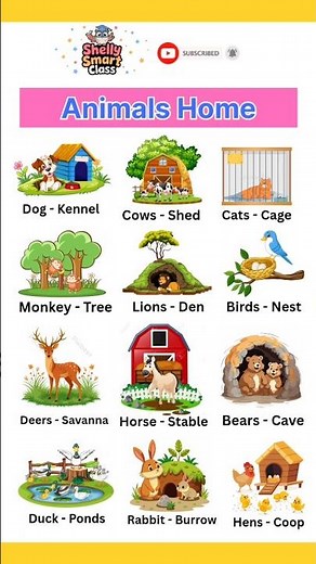 Animals and Their Homes | Easy Learning for Kids with Fun Examples"
