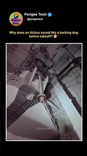Plane Barking Sound Explained 🤯#shorts #airbus #aviation #planes #aircraft #pilot #flying