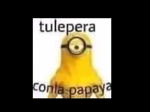Tulepera con la papaya
