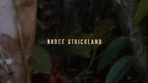 Anakondy: Polowanie na Krwawą Orchideę - Anacondas: The Hunt for the Blood Orchid (2004) [Lektor PL]