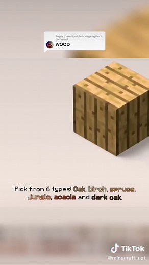 Best Wood Blocks for Building in Minecraft