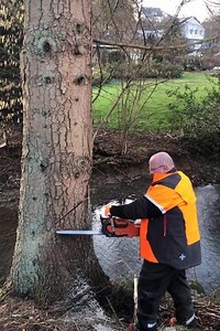 1.6M views · 5.9K reactions | Fat logger teaches us to felling tree | Petra Kshlerin | Facebook