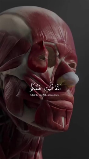 Ajm 🏔 (@ajm.hay)’s videos with original sound - Ajm 🏔